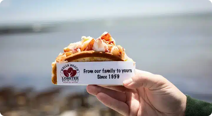 hand holding bun holder park your buns home