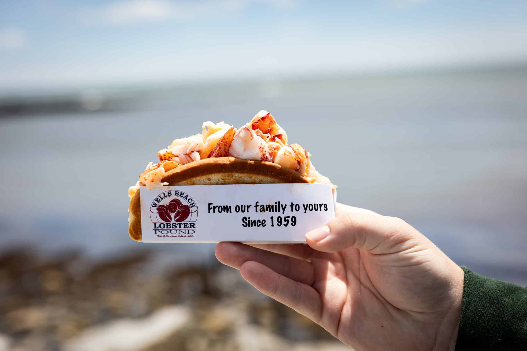 commercial lobster holder